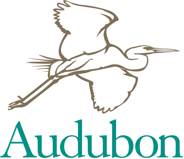 AuSable Audubon Christmas Bird Count
